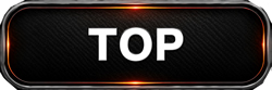 GET HOT tire warmers home